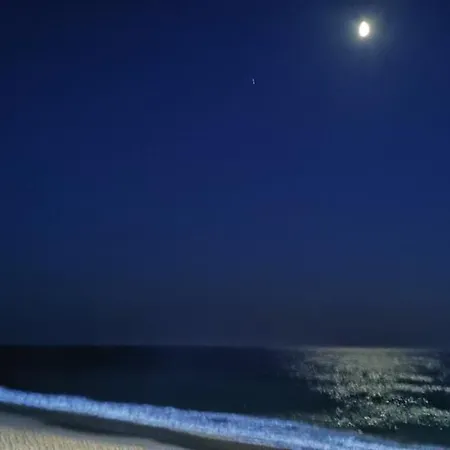 Mezzanine 2/3 Personnes La Teste-de-Buch