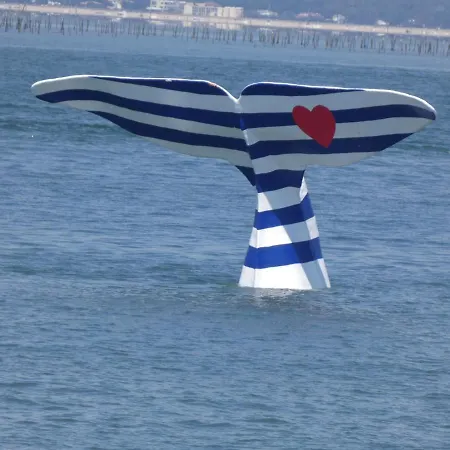 Mezzanine 2/3 Personnes Appartement La Teste-de-Buch