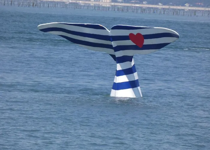 Mezzanine 2/3 Personnes Apartamento La Teste-de-Buch